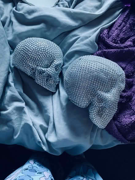 Photo of free decorative skulls (Loughborough LE11) #1