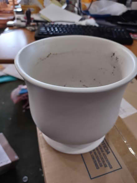 Photo of free Flower pot (Odenton) #1
