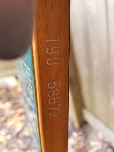 Photo of free A pair of cross country skis (Hunt Club) #3