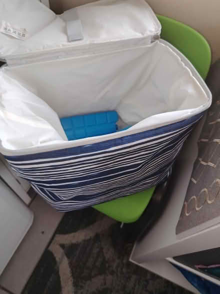 Photo of free Cool bag (SE19) #1