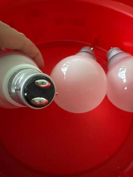 Photo of free Bulbs (B36) #3