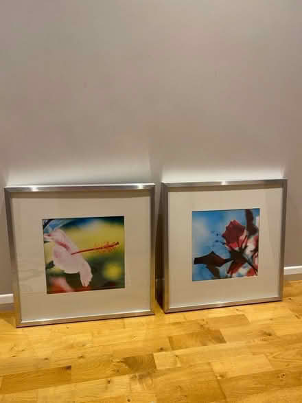 Photo of free Picture frames (Runcton PO20) #1