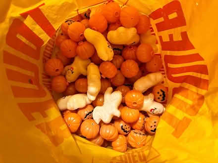 Photo of free Halloween lights (Martinez, near Ace Hardware) #3