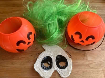 Photo of free Halloween items (Wainscott) #1