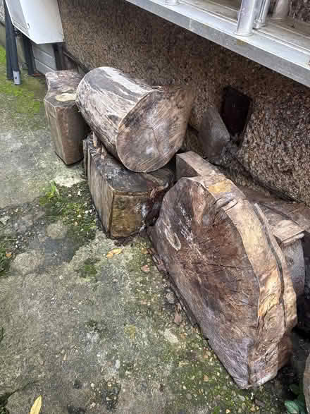 Photo of free Large tree stumps logs (CR3) #1