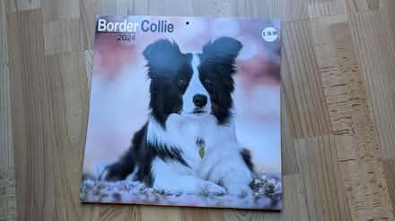 Photo of free Dog calendar (west side of Horsham) #1