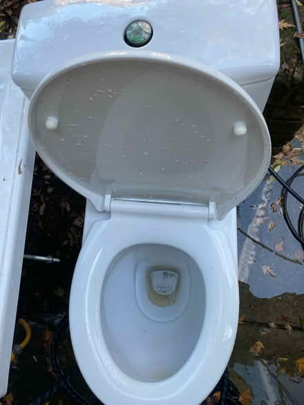 Photo of free Toilet and cistern (Maida Vale W9) #3