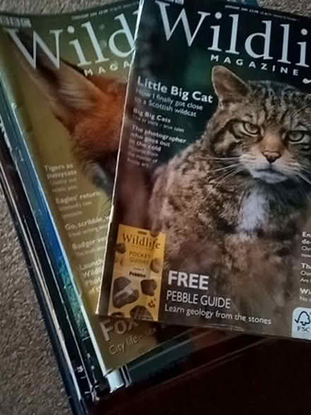Photo of free BBC Wildlife magazines (Askham CA10) #1