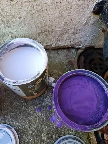 Photo of free 2 litre paint unused (Tufnell Park, N7) #1