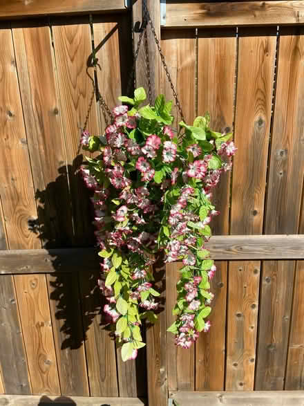 Photo of free Artificial flowers (Mississauga-South Common area) #4
