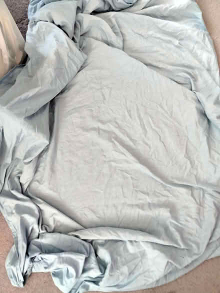 Photo of free Single fitted sheet x 2 (Woodford IG8) #1