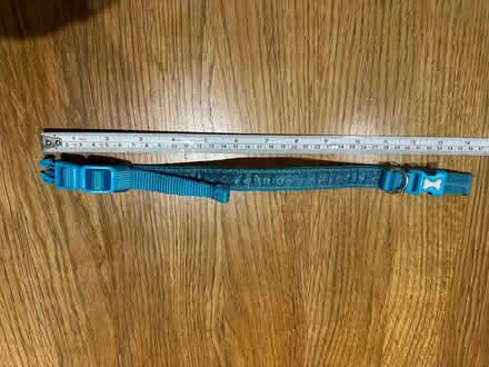 Photo of free Sparkly dog (small) collar and lead (The Hockering GU22) #2