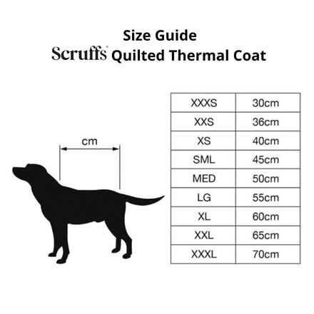 Photo of free Grey Scruffs quilted thermal dog coat (Tufnell Park N7) #3