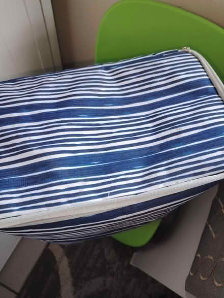 Photo of free Cool bag (SE19) #2