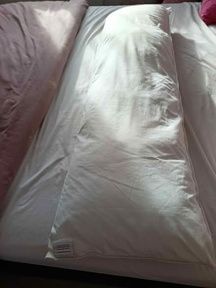 Photo of free Long dorma bolster pillow (Langney) #1