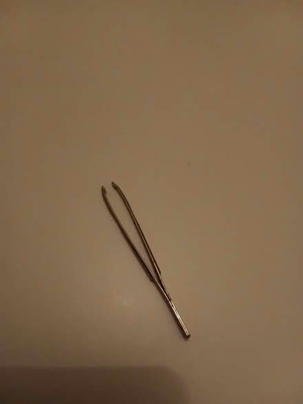 Photo of free Metal tweesers (N17 turnpike lane) #1