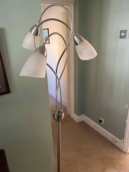 Photo of free Pair of lamps (Kelvedon, CO5) #4