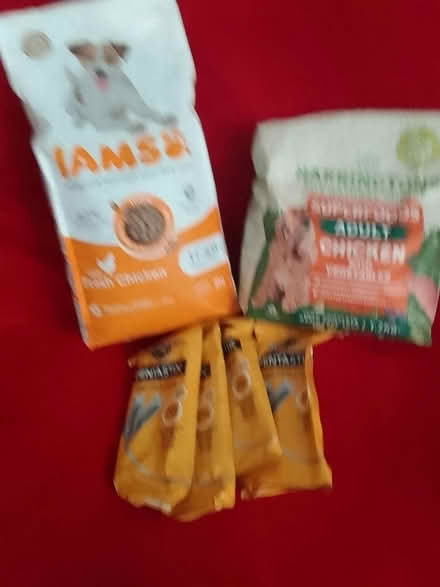 Photo of free dog food (Scotstoun, Glasgow) #1