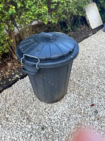 Photo of free Bin with Lid (Wimbledon SW19) #1