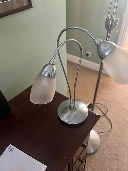 Photo of free Pair of lamps (Kelvedon, CO5) #3