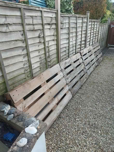 Photo of free X4 medium sized wooden pallets (cheltenham GL52) #1