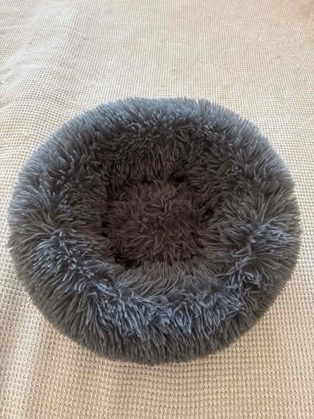 Photo of free Small pet fluffy “doughnut” basket (Foxholes SG13) #1