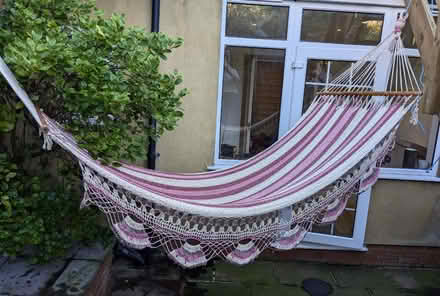 Photo of free Hammock (Tufnell Park N7) #1