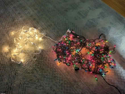 Photo of free Christmas lights (Worcester, 01606) #1