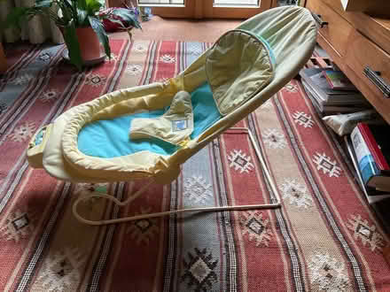 Photo of free Baby’s bouncing cradle (Layerthorpe YO31) #1