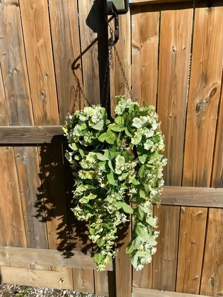 Photo of free Artificial flowers (Mississauga-South Common area) #2