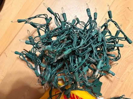 Photo of free Halloween lights (Martinez, near Ace Hardware) #2