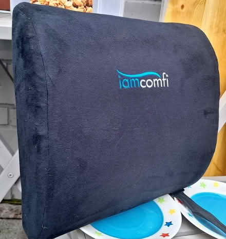 Photo of free Back cushion (EH6 Leith) #1