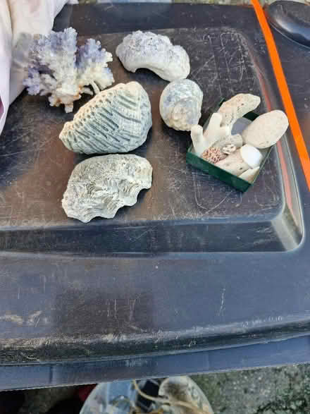 Photo of free Aquarium accessories (Selmeston BN26) #3