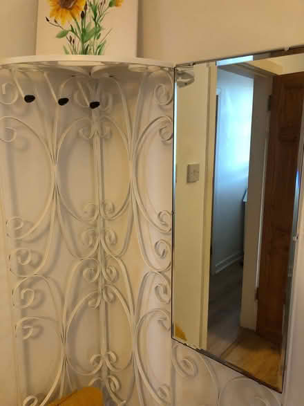 Photo of free Large metal coat stand and mirror (Northfield EH8) #2