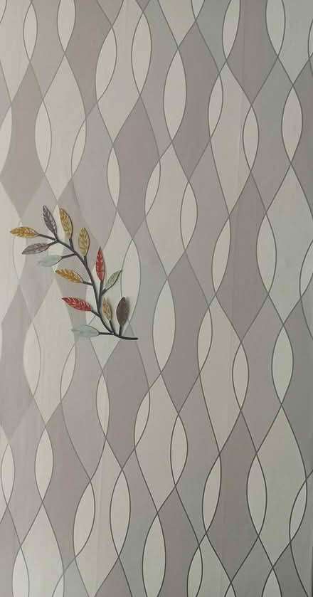 Photo of free Wallpaper (Senacre) #1