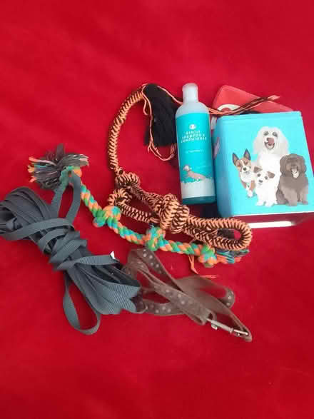 Photo of free dog stuff (Scotstoun, Glasgow) #1