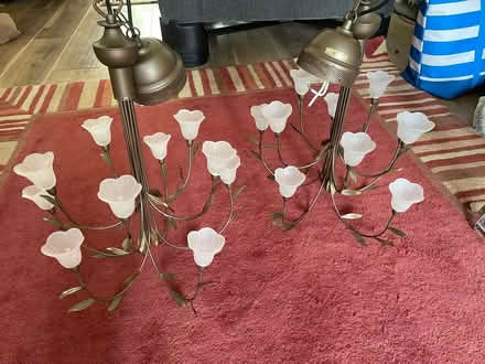Photo of free 2 x ceiling lights (Chorley PR7 1) #1