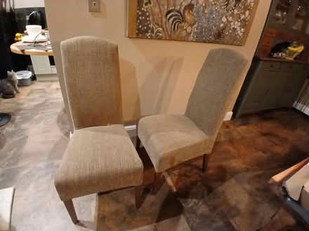 Photo of free 2 Next dining chairs (Camberley) #1