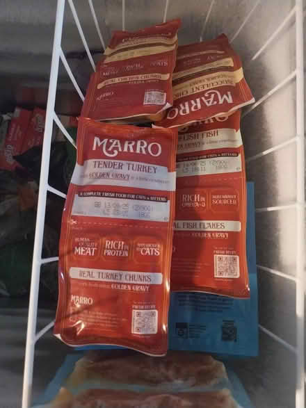 Photo of free Cat food (L7 Georgian Quarter) #1