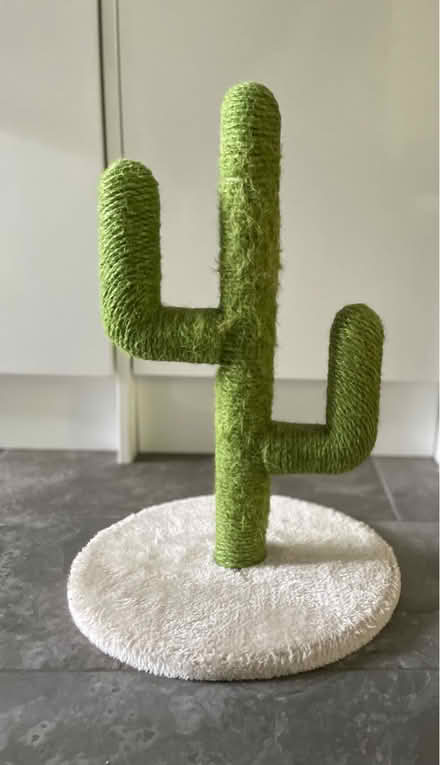 Photo of free Small cactus cat tree (Woking) #2