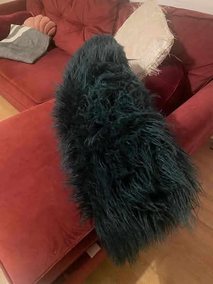 Photo of free Big fluffy cushion (N5 Highbury) #2