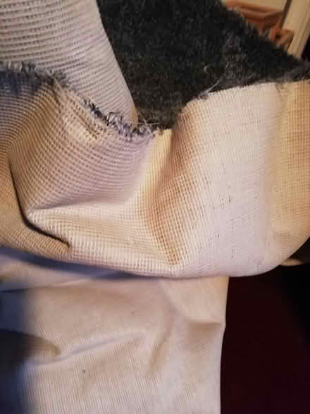 Photo of free Carpet (S5 Parsons Cross) #4