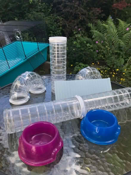 Photo of free Hamster cages (Arnside LA5) #2