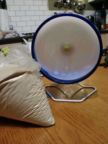 Photo of free Silent spinner hamster wheel and sand (Walkley S6) #1