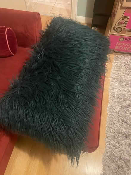 Photo of free Big fluffy cushion (N5 Highbury) #1