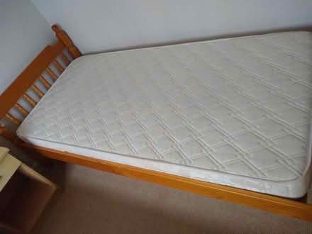 Photo of free Pine single bed and mattress (Rooksbridge, Somerset BS26) #1