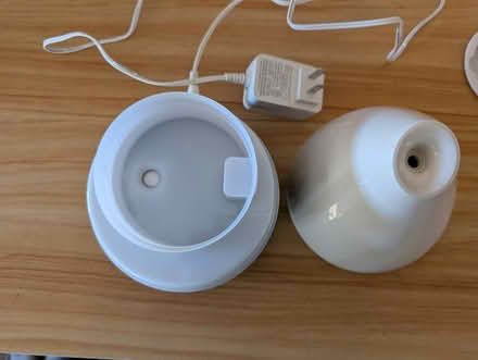 Photo of free Diffuser (Sylvan Township Near Chelsea) #3