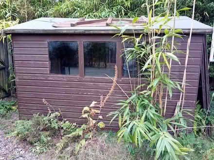 Photo of free Wooden shed (Earlham NR4) #1