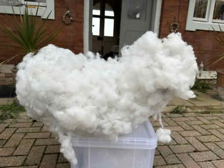 Photo of free A Large Fluffy Cloud (TN36) #1