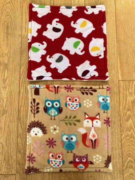Photo of free Handling/Feeding Mats for Small Pets (Pannal HG2) #1